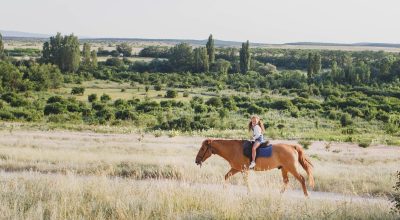 a-girl-rides-a-horse-in-a-field-2023-11-27-04-58-55-utc